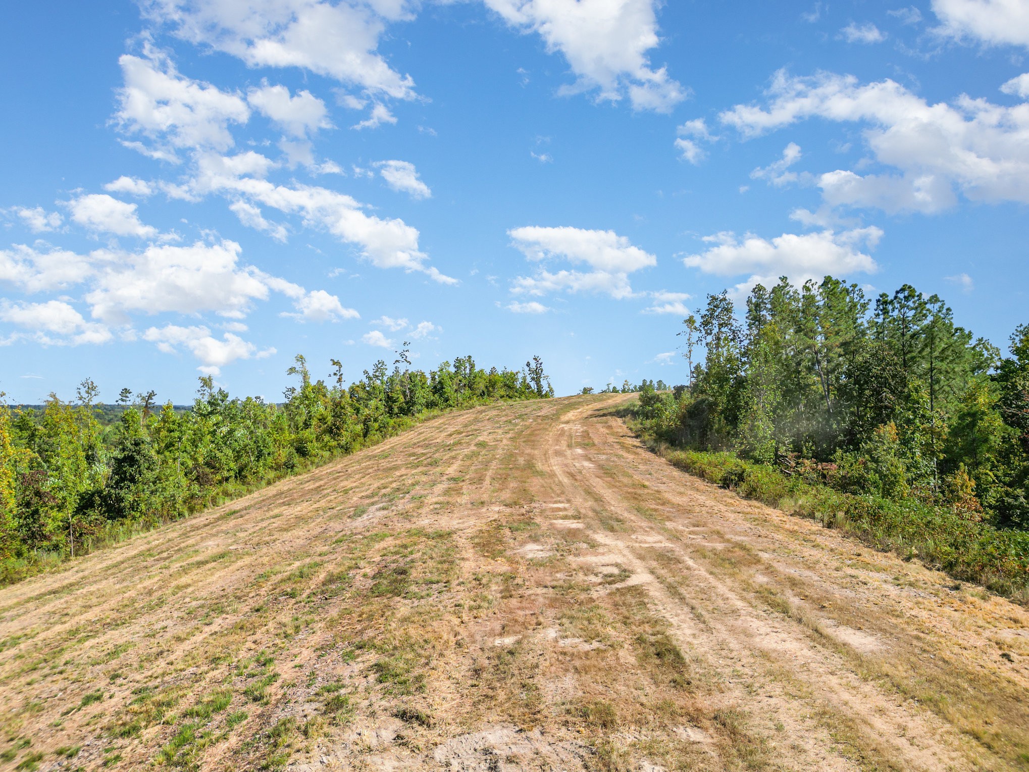 240 Miller Ridge Lane Stewart, TN 37175 - Photo 6 of 29 a view of a pathway both side of a yard