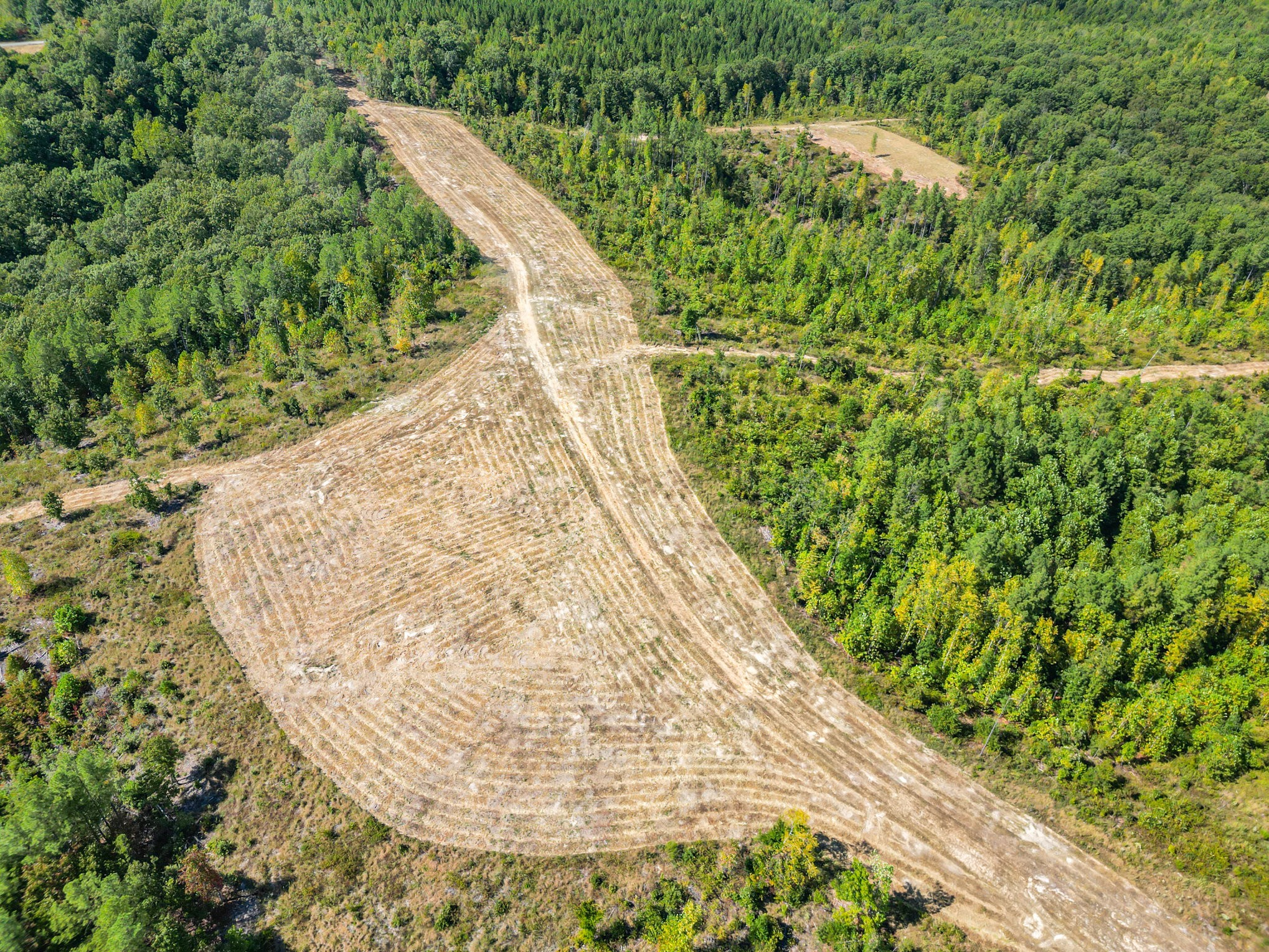 240 Miller Ridge Lane Stewart, TN 37175 - Photo 7 of 29 a view of a backyard