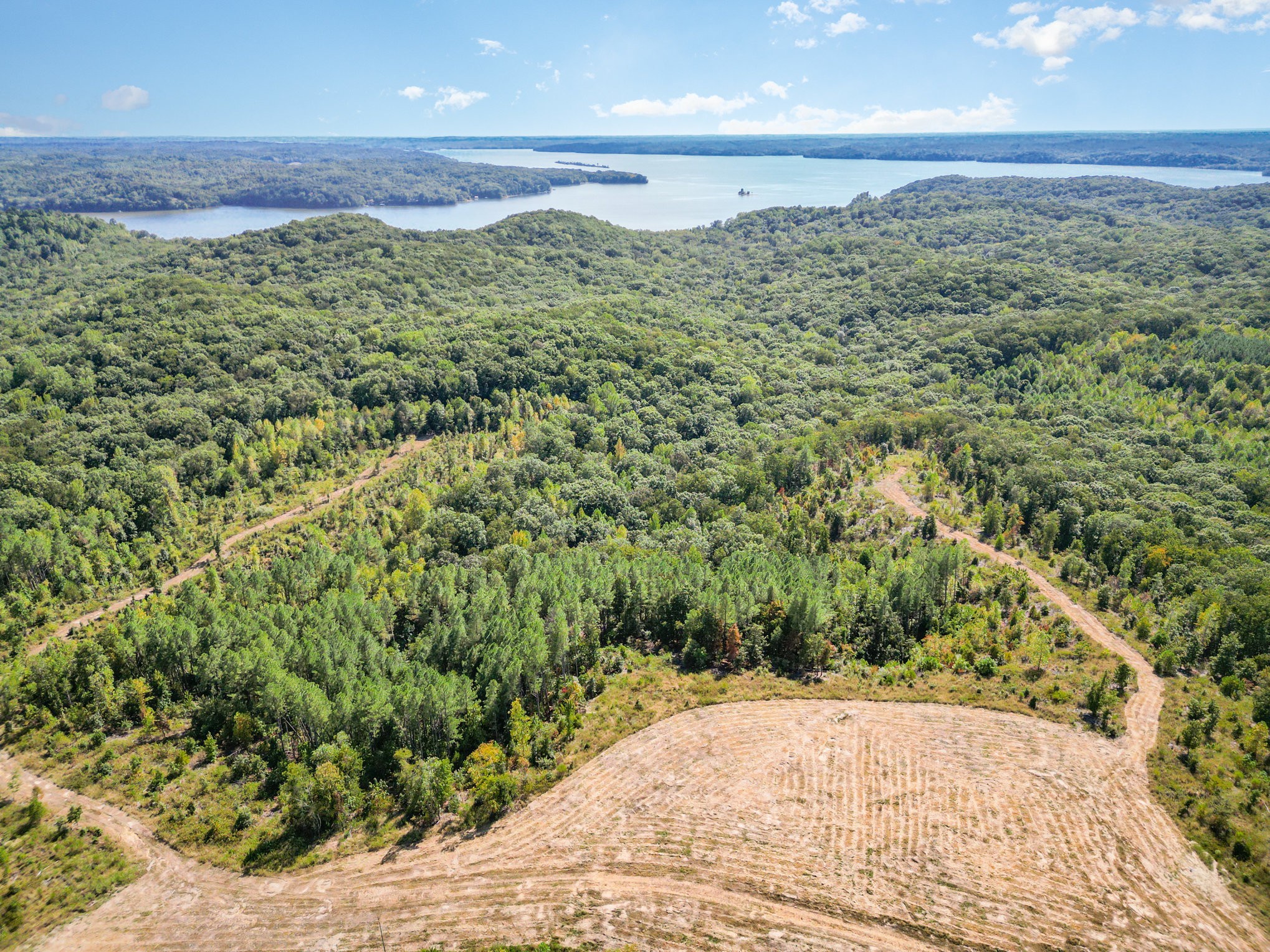 240 Miller Ridge Lane Stewart, TN 37175 - Photo 8 of 29 a view of a yard with an trees