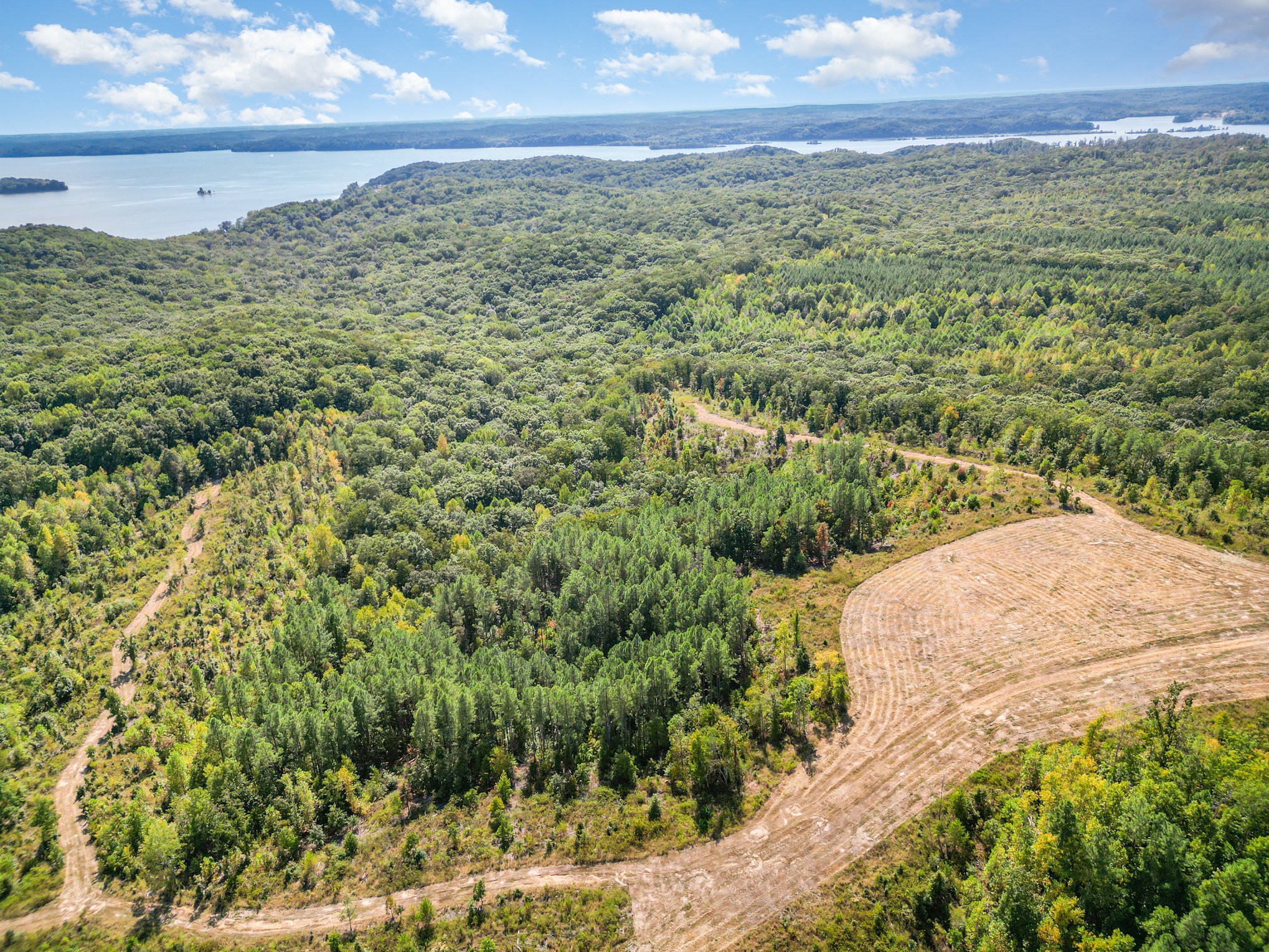 240 Miller Ridge Lane Stewart, TN 37175 - Photo 9 of 29 a view of a yard with an outdoor space