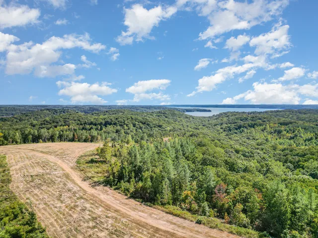 a view of a yard with an trees