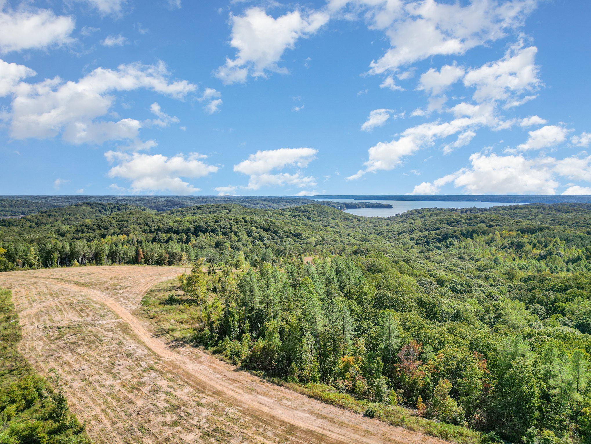 240 Miller Ridge Lane Stewart, TN 37175 - Photo 10 of 29 a view of a yard with an trees