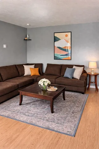 a living room with furniture and a rug