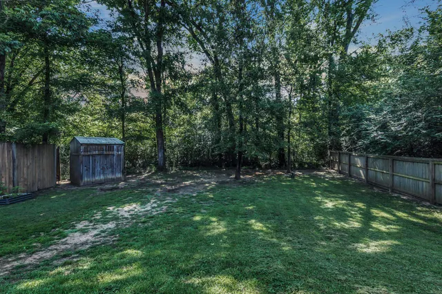a view of a backyard with large trees and wooden fence