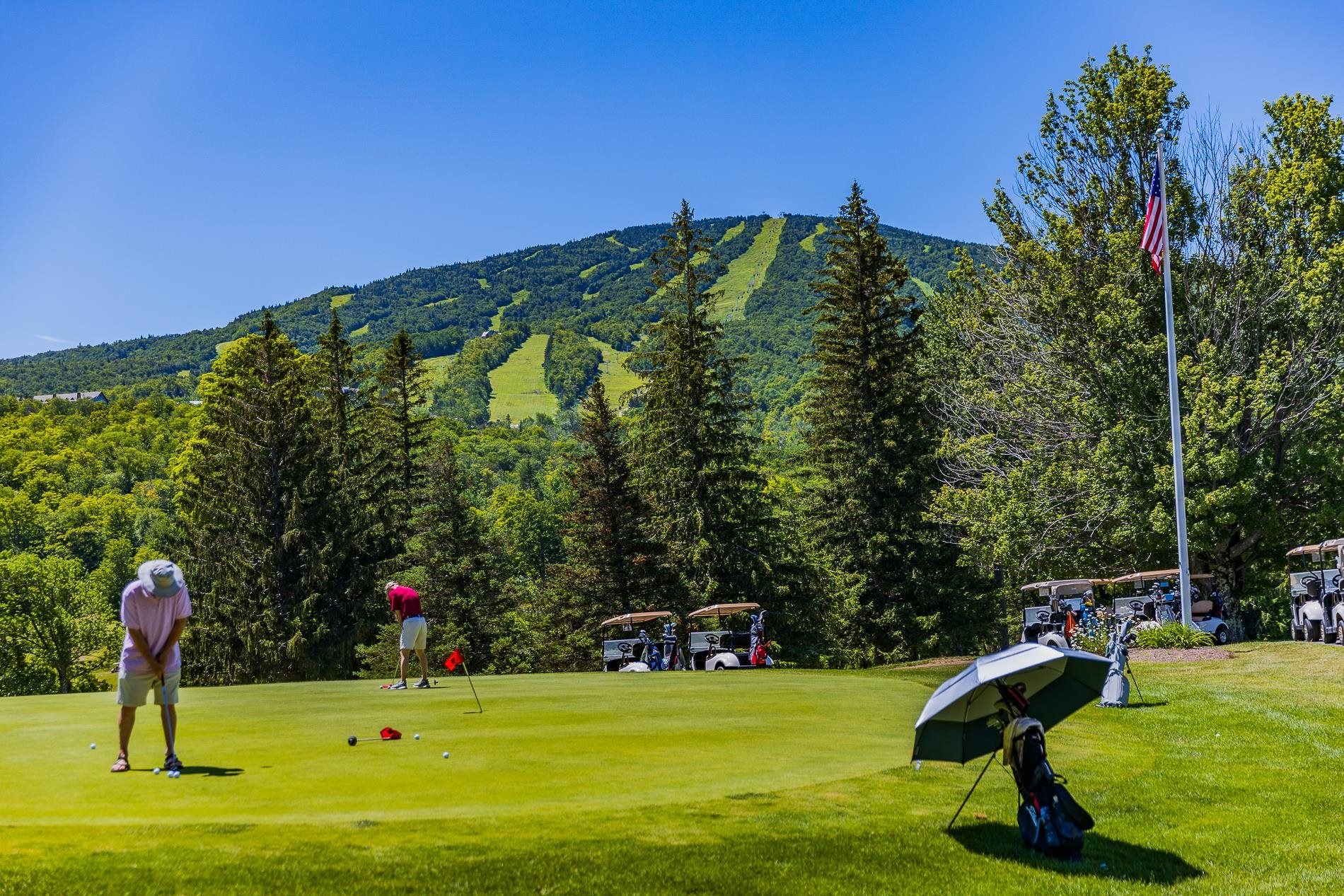 58 Stratton View Road Winhall, VT 05340 - Photo 34 of 40