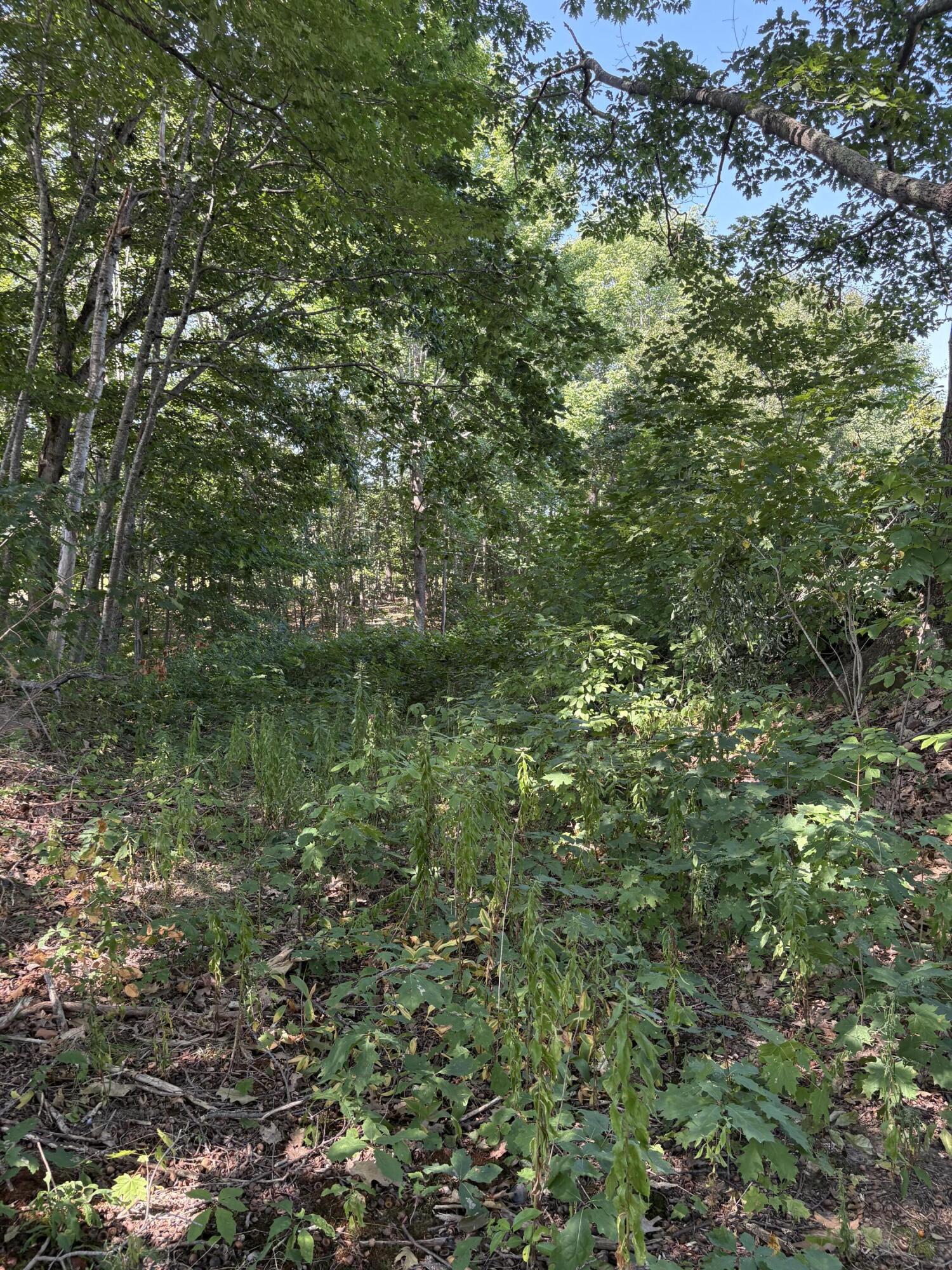 33 Veterans Highway Brooks, ME 04921 - Photo 38 of 47 IMG_9426