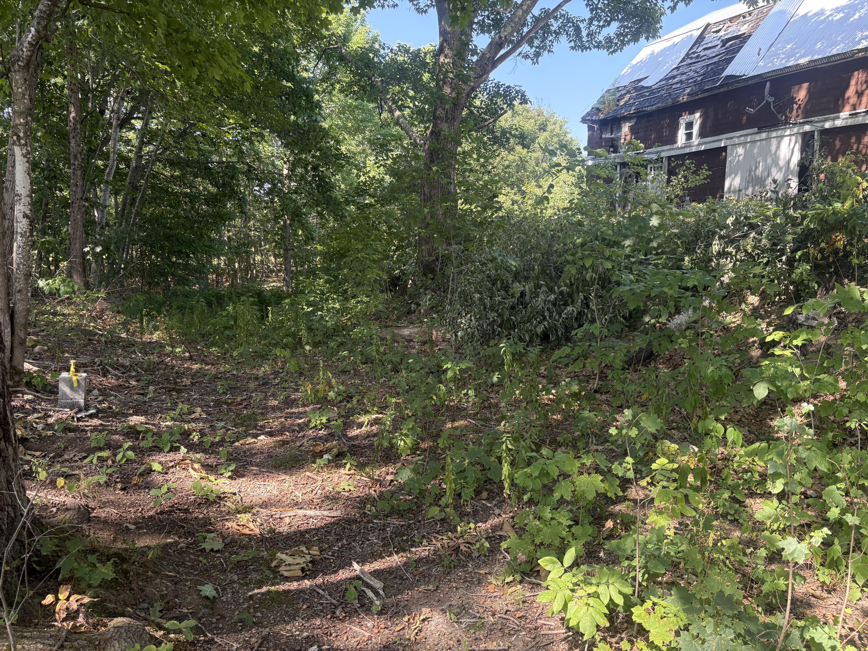 33 Veterans Highway Brooks, ME 04921 - Photo 4 of 47 IMG_5229