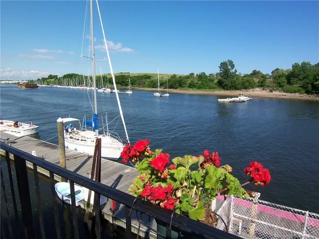 a view of a lake with a flower garden
