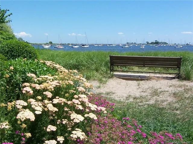 a view of a pathway with a yard