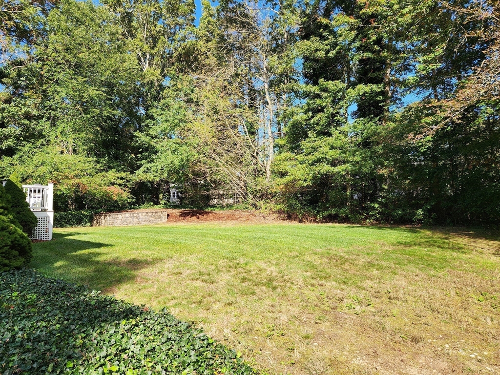 91 Holly Point Road Barnstable, MA 02632 - Photo 36 of 42 a view of a field with a tree
