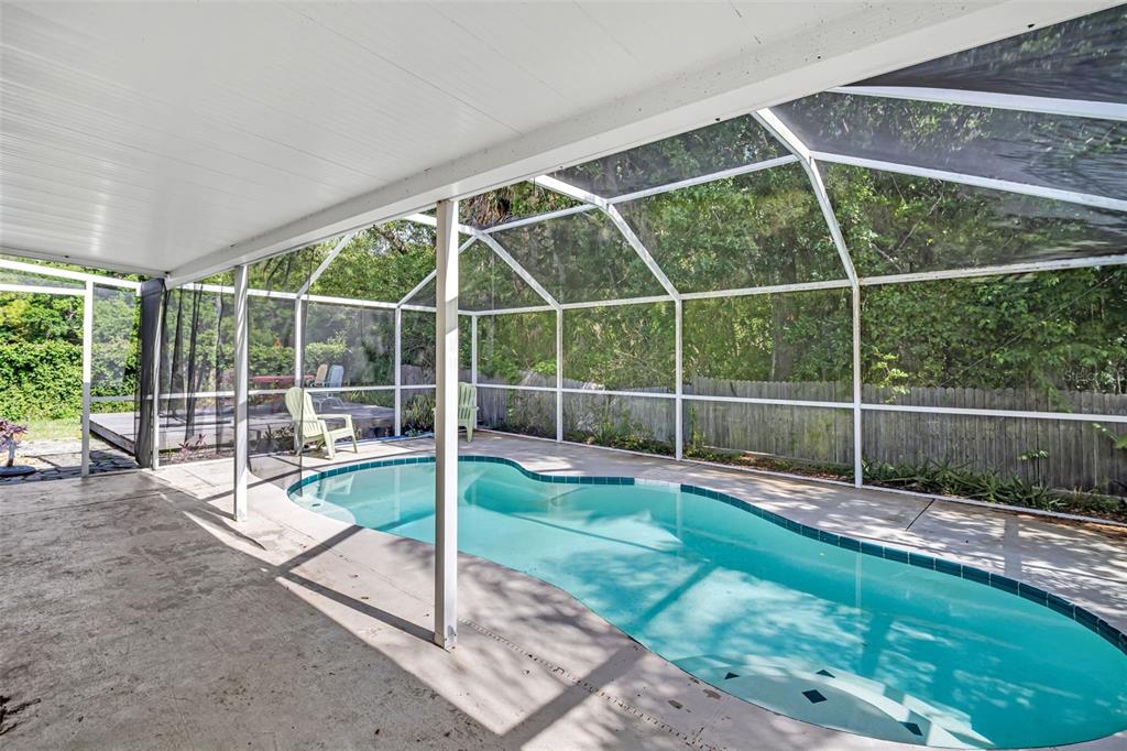 301 Tavernier Drive Oldsmar, FL 34677 - Photo 46 of 68