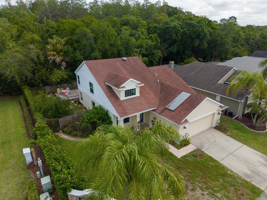 301 Tavernier Drive Oldsmar, FL 34677 - Photo 48 of 68