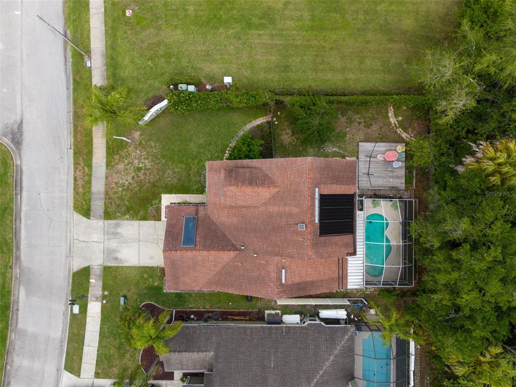 301 Tavernier Drive Oldsmar, FL 34677 - Photo 52 of 68