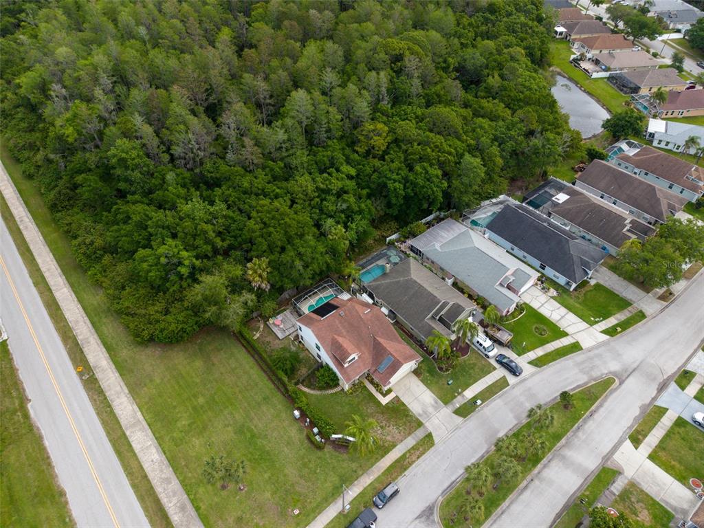 301 Tavernier Drive Oldsmar, FL 34677 - Photo 54 of 68