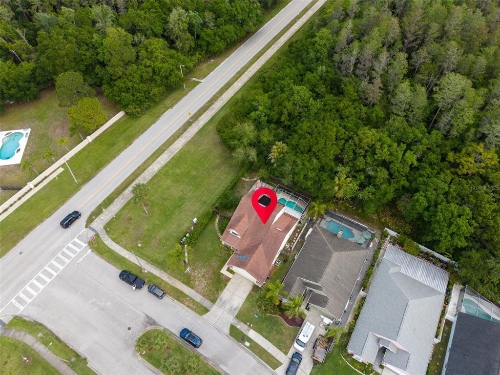 301 Tavernier Drive Oldsmar, FL 34677 - Photo 55 of 68