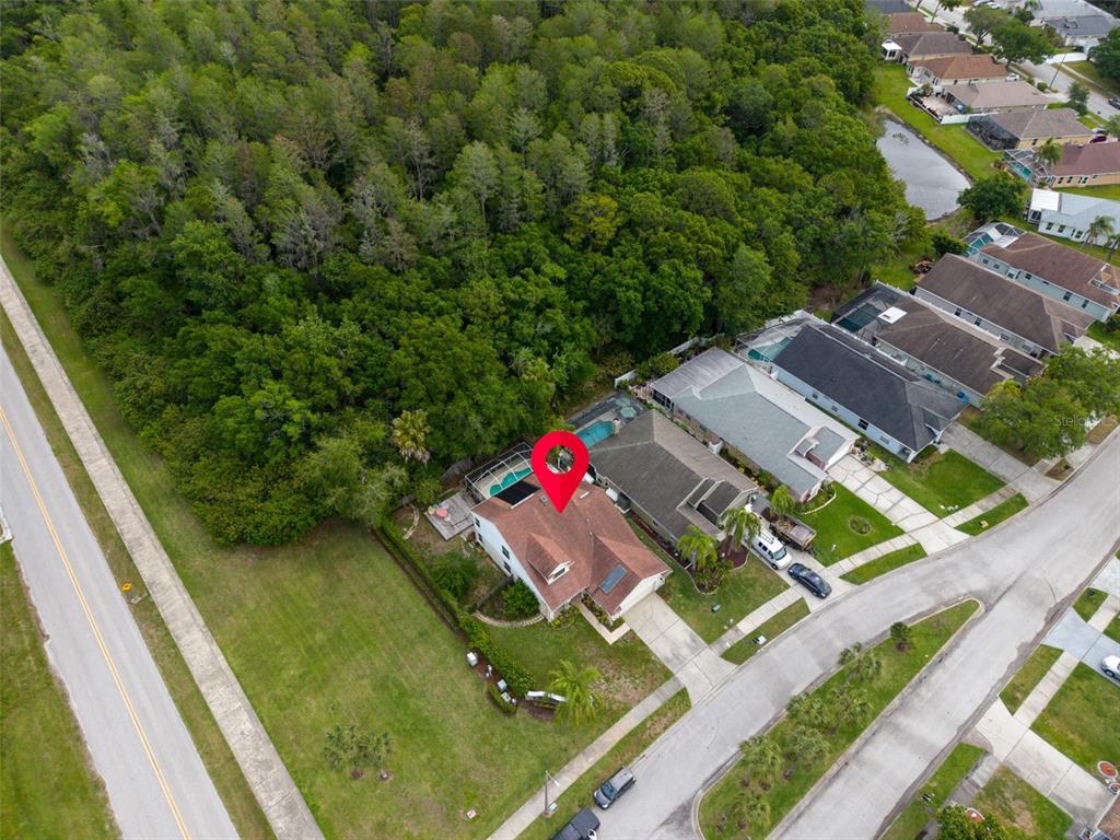 301 Tavernier Drive Oldsmar, FL 34677 - Photo 56 of 68