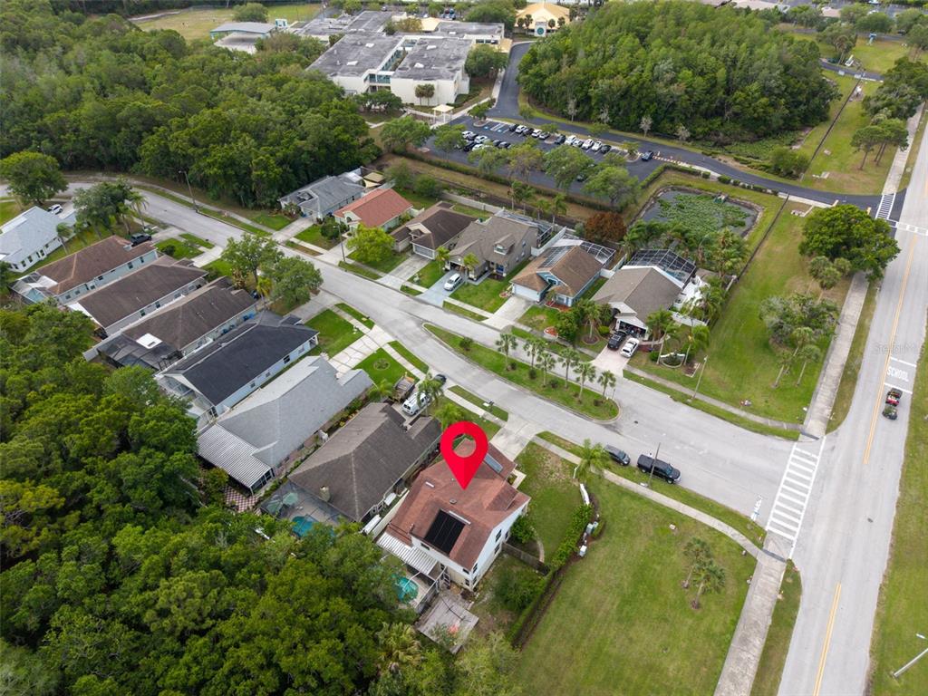 301 Tavernier Drive Oldsmar, FL 34677 - Photo 59 of 68