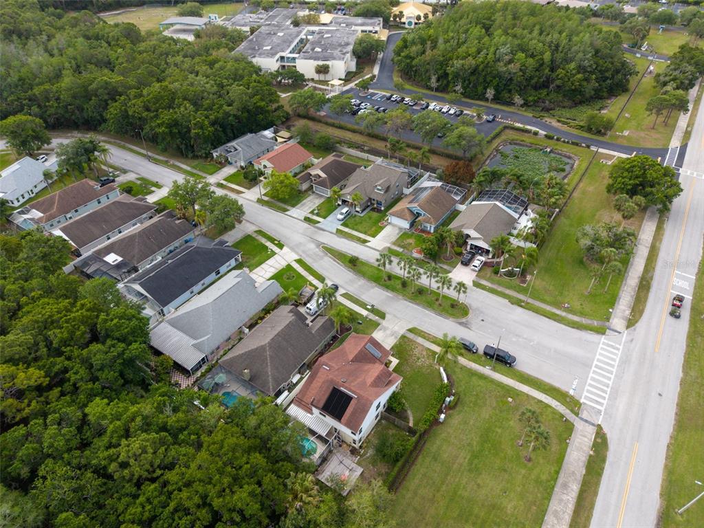 301 Tavernier Drive Oldsmar, FL 34677 - Photo 60 of 68