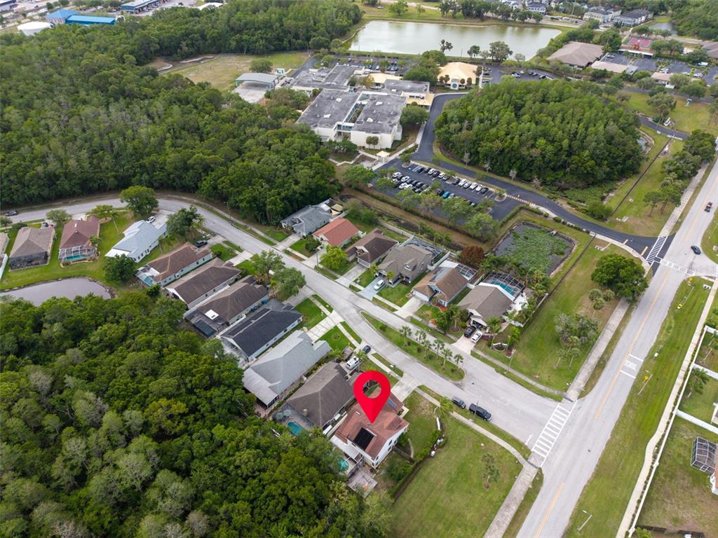 301 Tavernier Drive Oldsmar, FL 34677 - Photo 61 of 68