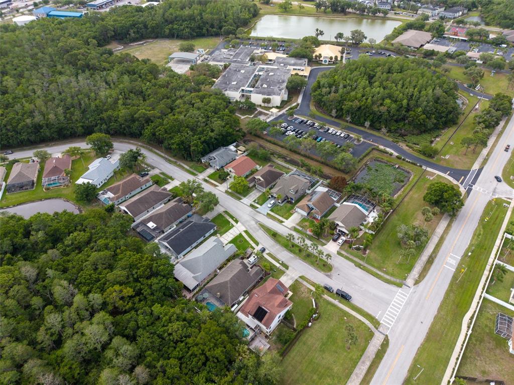 301 Tavernier Drive Oldsmar, FL 34677 - Photo 62 of 68