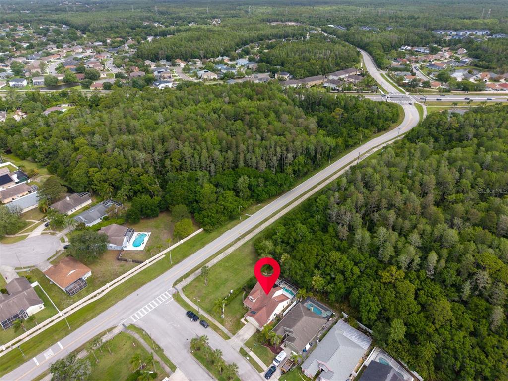 301 Tavernier Drive Oldsmar, FL 34677 - Photo 65 of 68