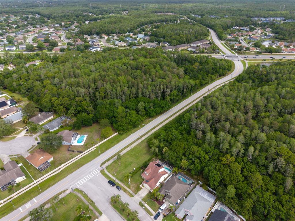 301 Tavernier Drive Oldsmar, FL 34677 - Photo 66 of 68