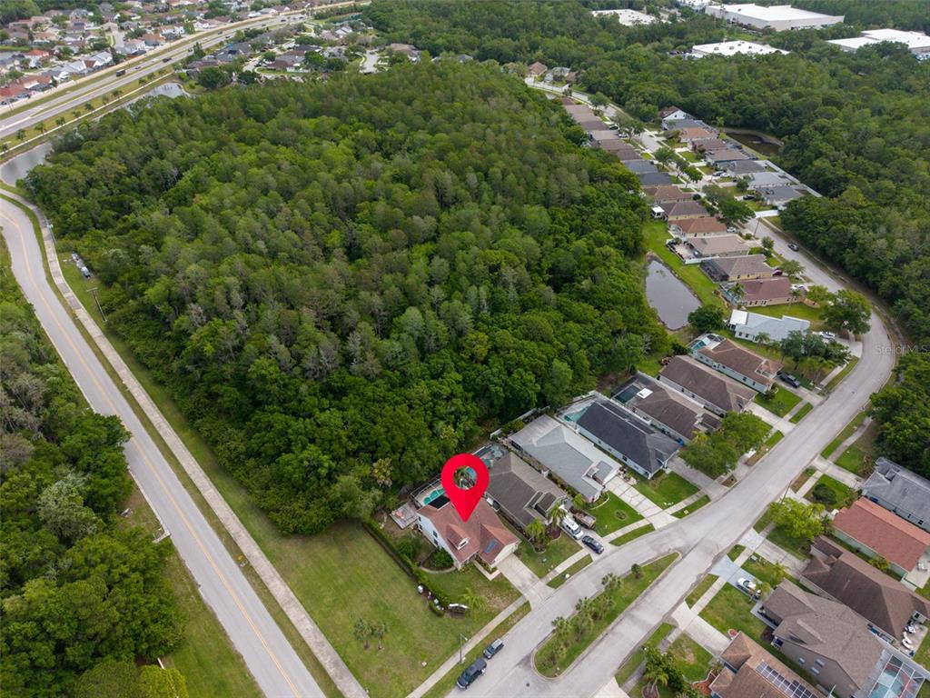 301 Tavernier Drive Oldsmar, FL 34677 - Photo 67 of 68