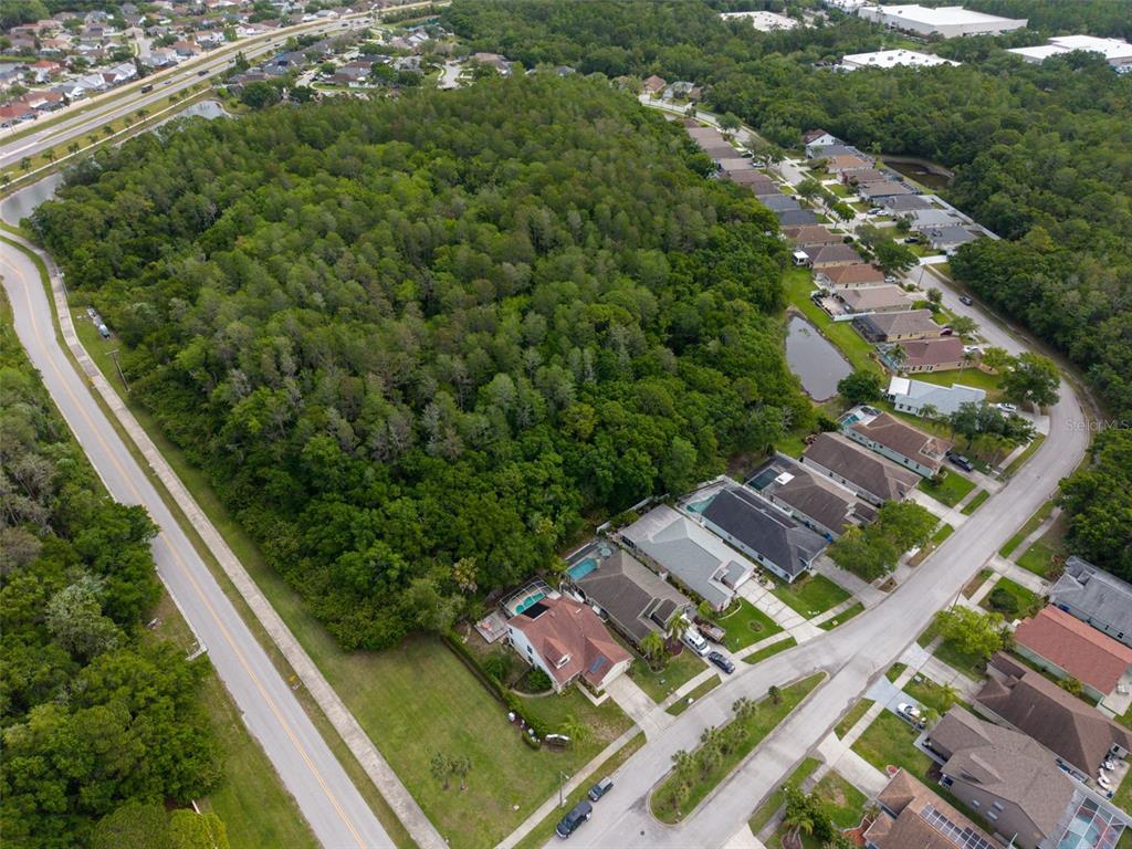 301 Tavernier Drive Oldsmar, FL 34677 - Photo 68 of 68