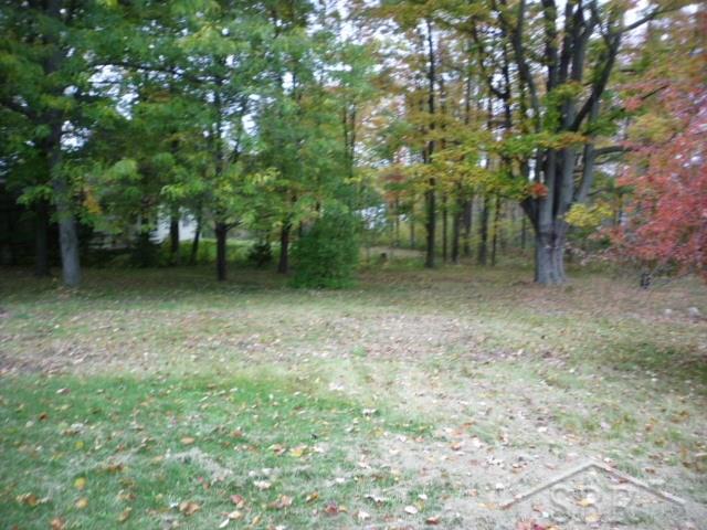 1160 Sanilac Road Caro, MI 48723 - Photo 26 of 26 31268313-25.JPG