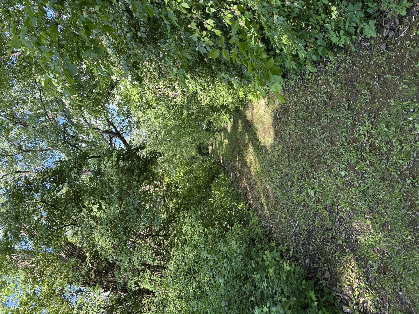 7765 Pine Bluff Road Morris, IL 60450 - Photo 70 of 84