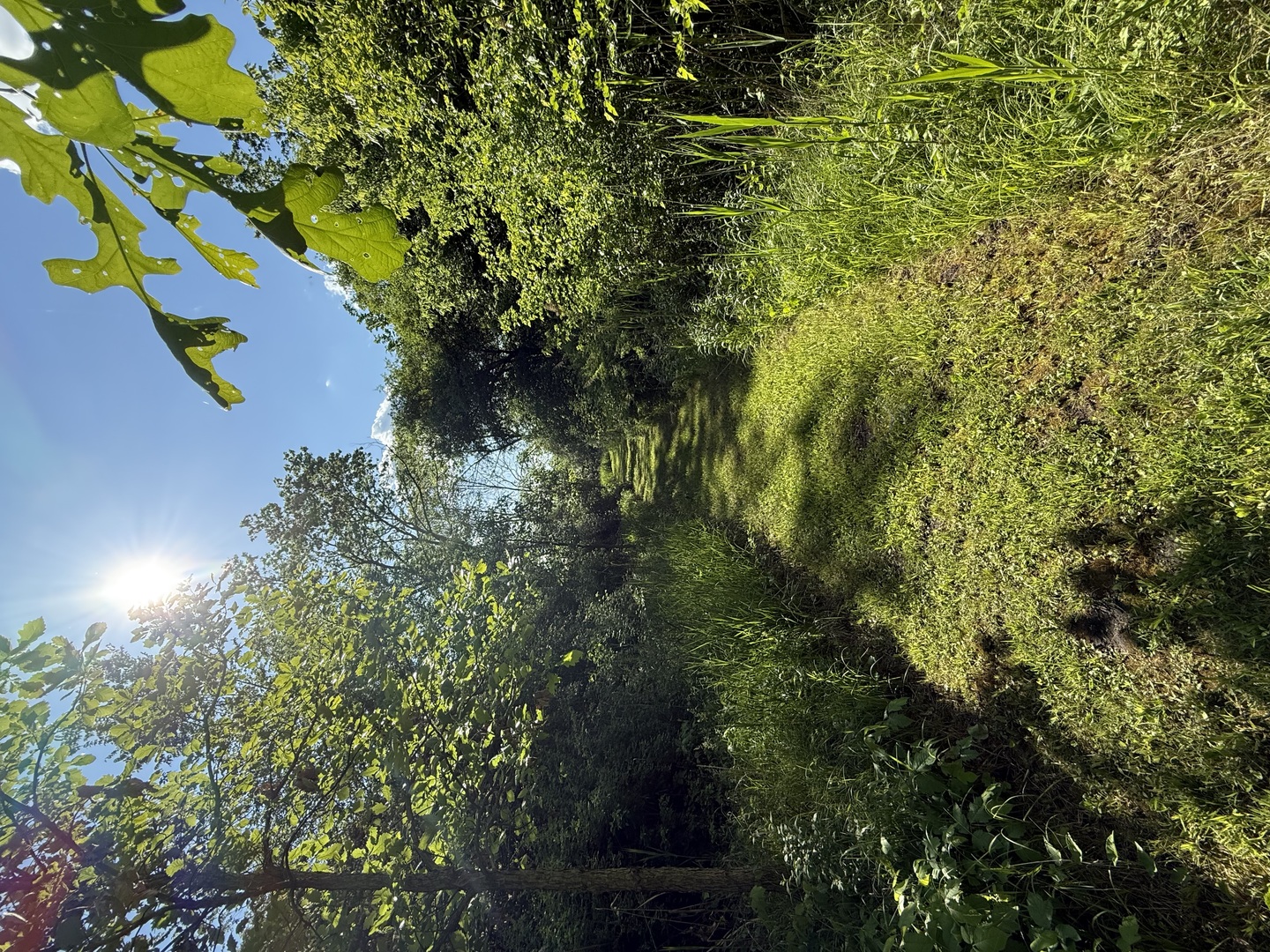 7765 Pine Bluff Road Morris, IL 60450 - Photo 71 of 84