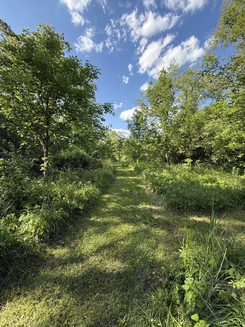 7765 Pine Bluff Road Morris, IL 60450 - Photo 72 of 84