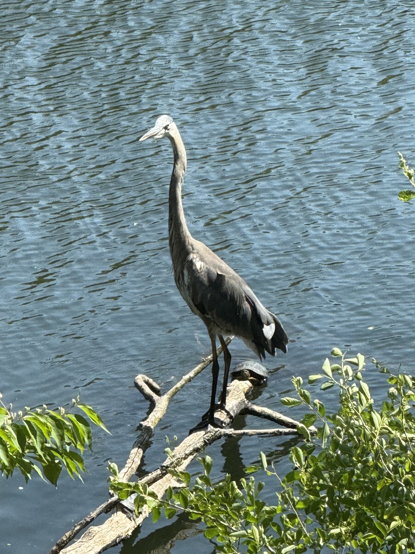 7765 Pine Bluff Road Morris, IL 60450 - Photo 83 of 84