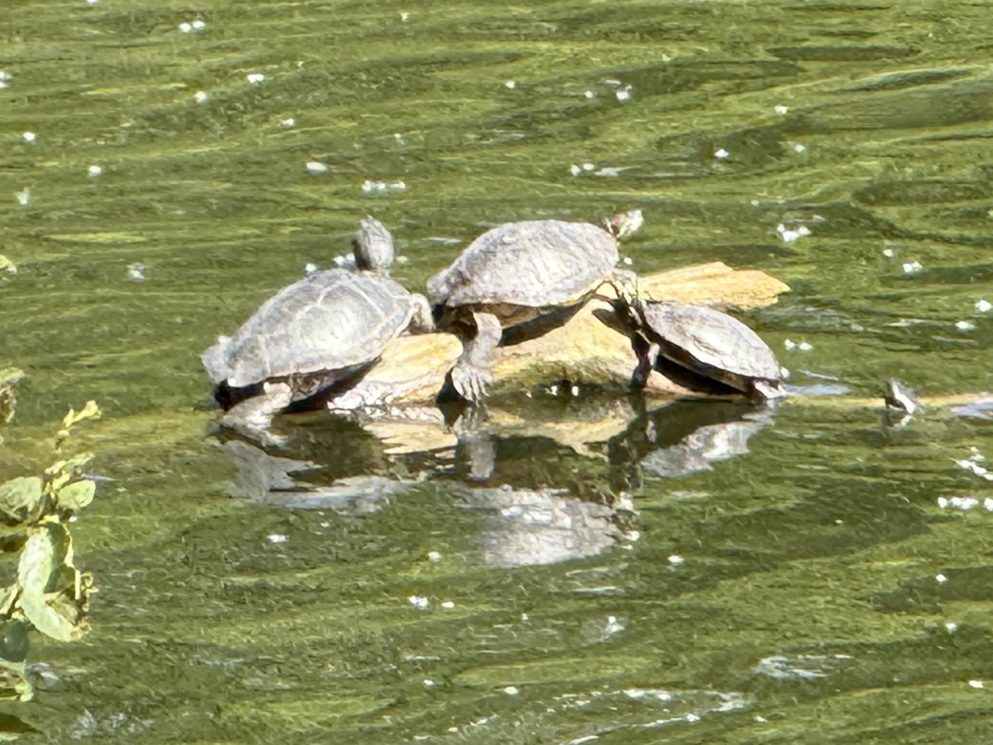 7765 Pine Bluff Road Morris, IL 60450 - Photo 84 of 84