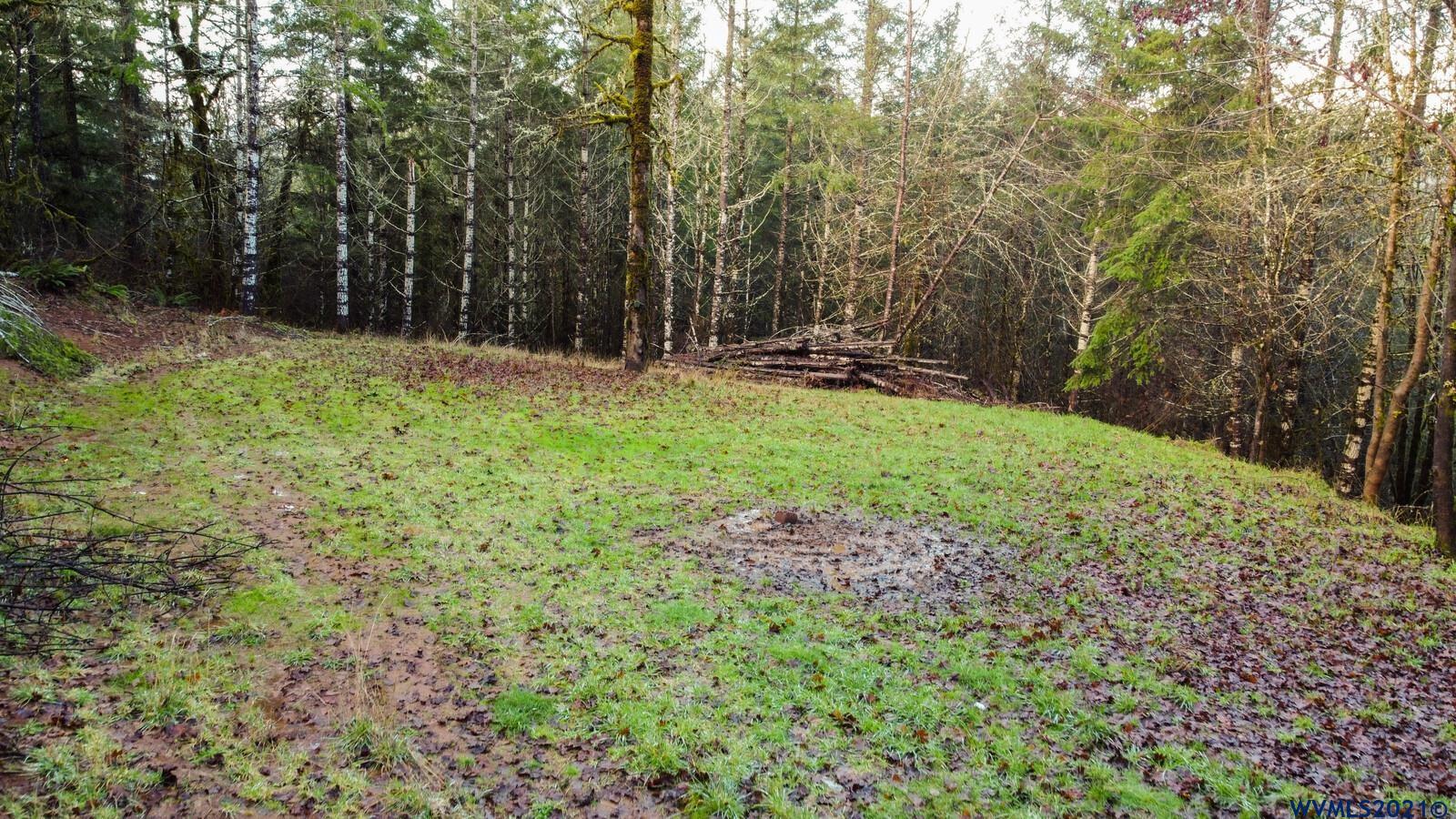 4736 Liberty Road Dallas, OR 97338 - Photo 11 of 21 a view of backyard with tree