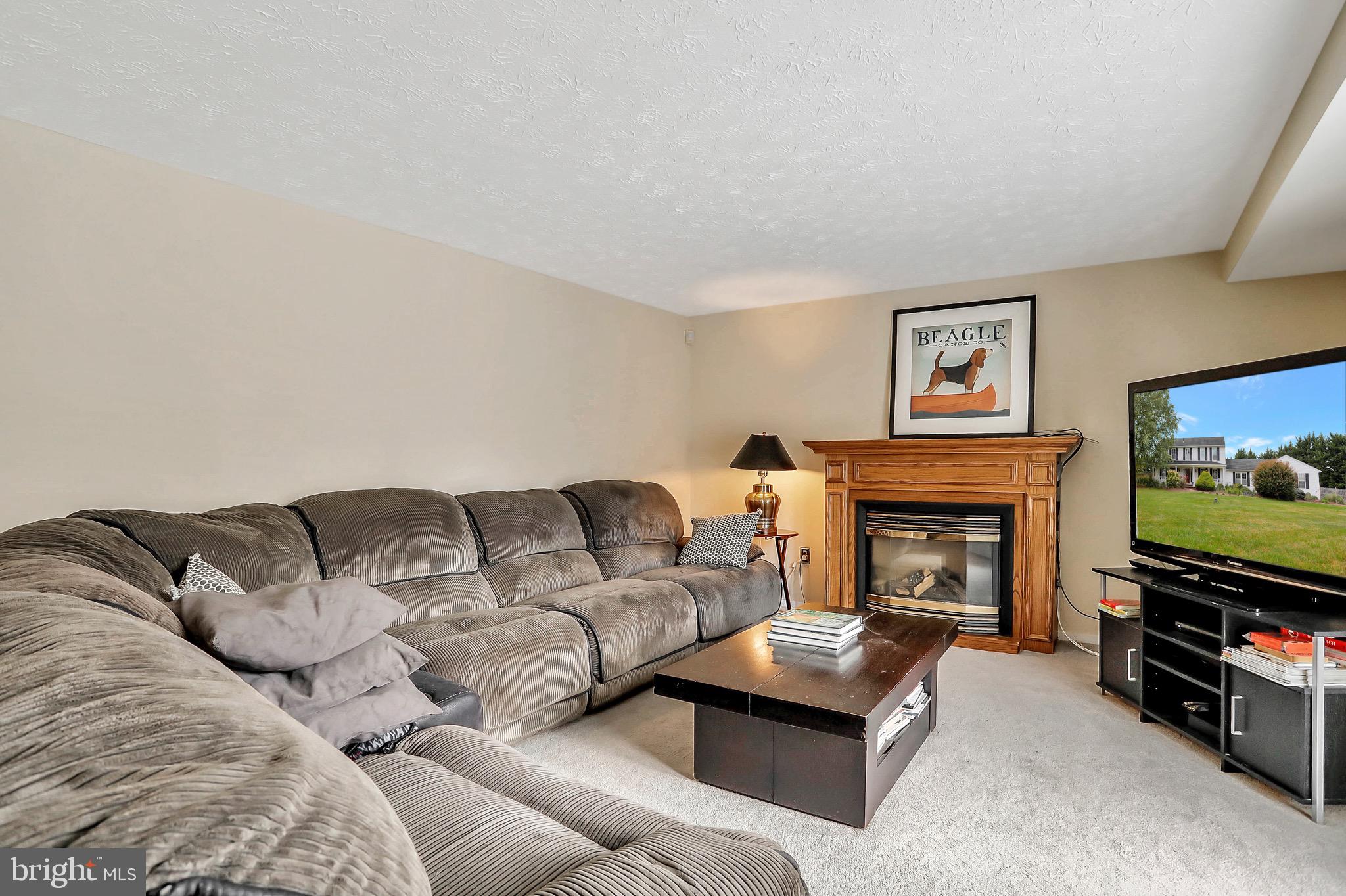 5709 Mountville Road Adamstown, MD 21710 - Photo 11 of 73 Family room with fireplace