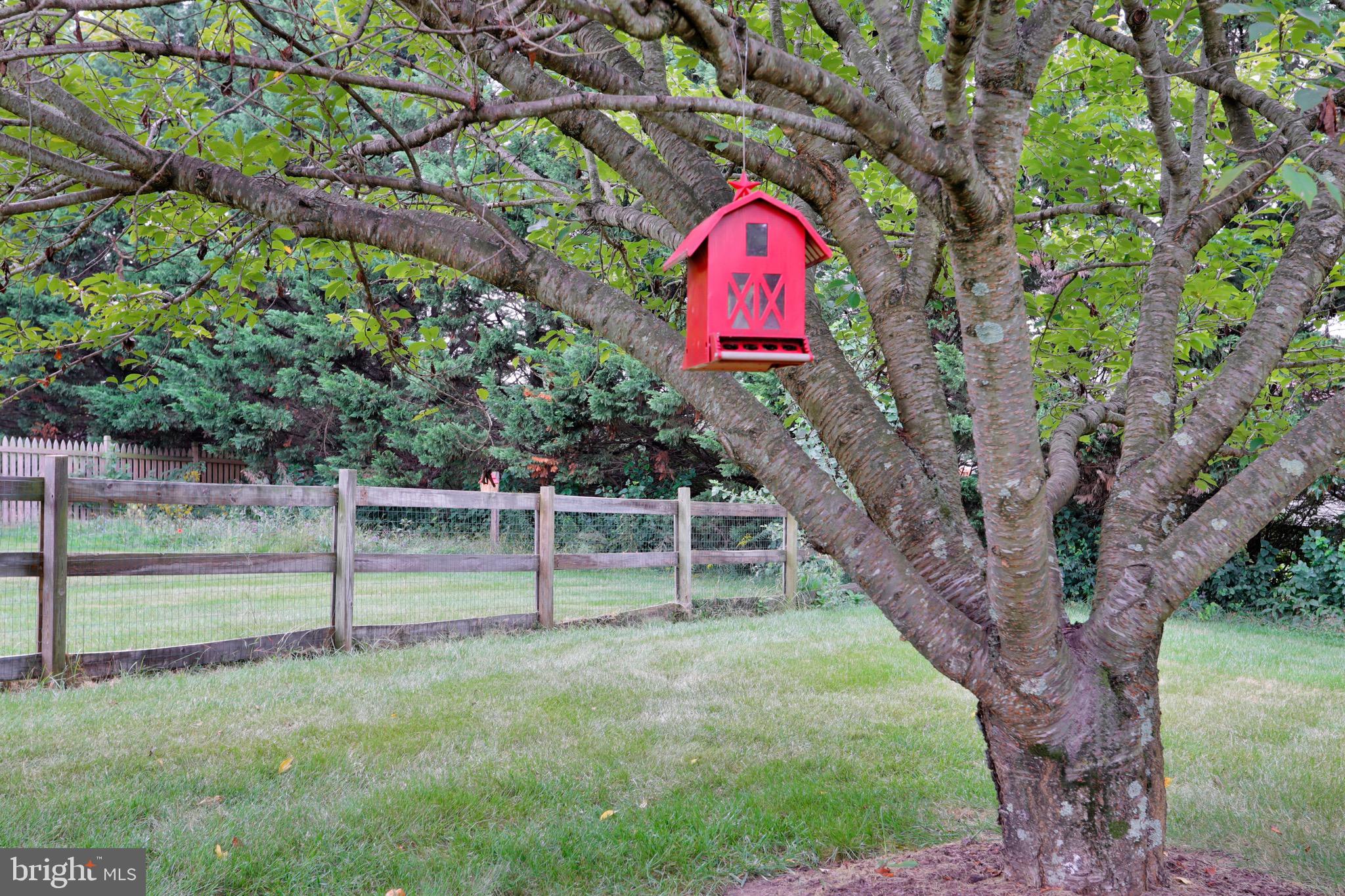 5709 Mountville Road Adamstown, MD 21710 - Photo 56 of 73 Mature trees