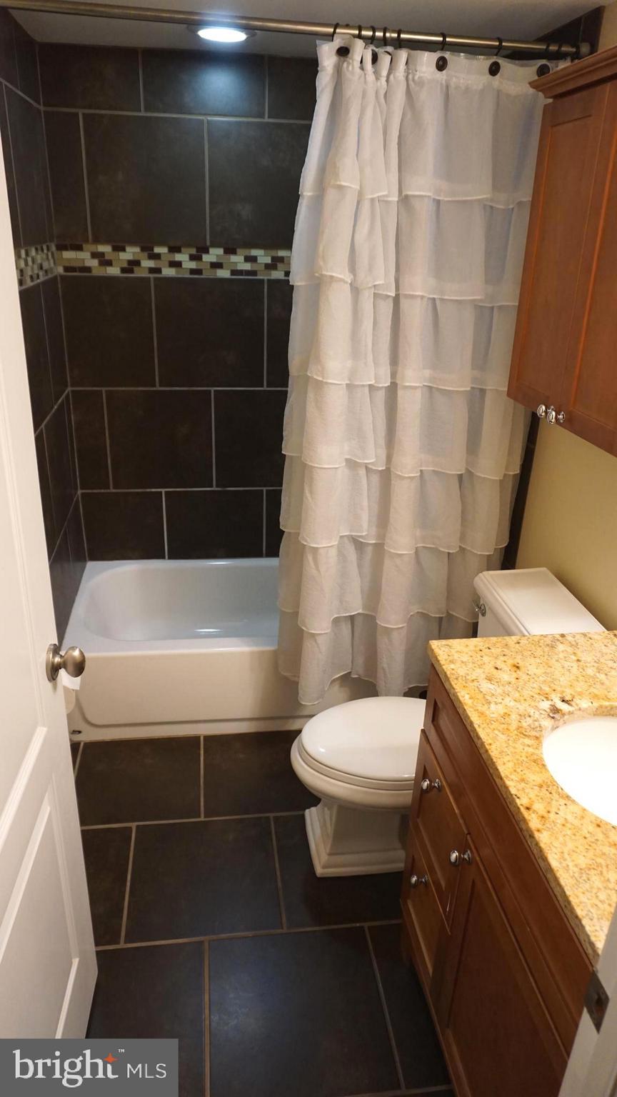 9105 Cuckold Point Road Baltimore, MD 21219 - Photo 65 of 150 a bathroom with a sink a toilet and shower