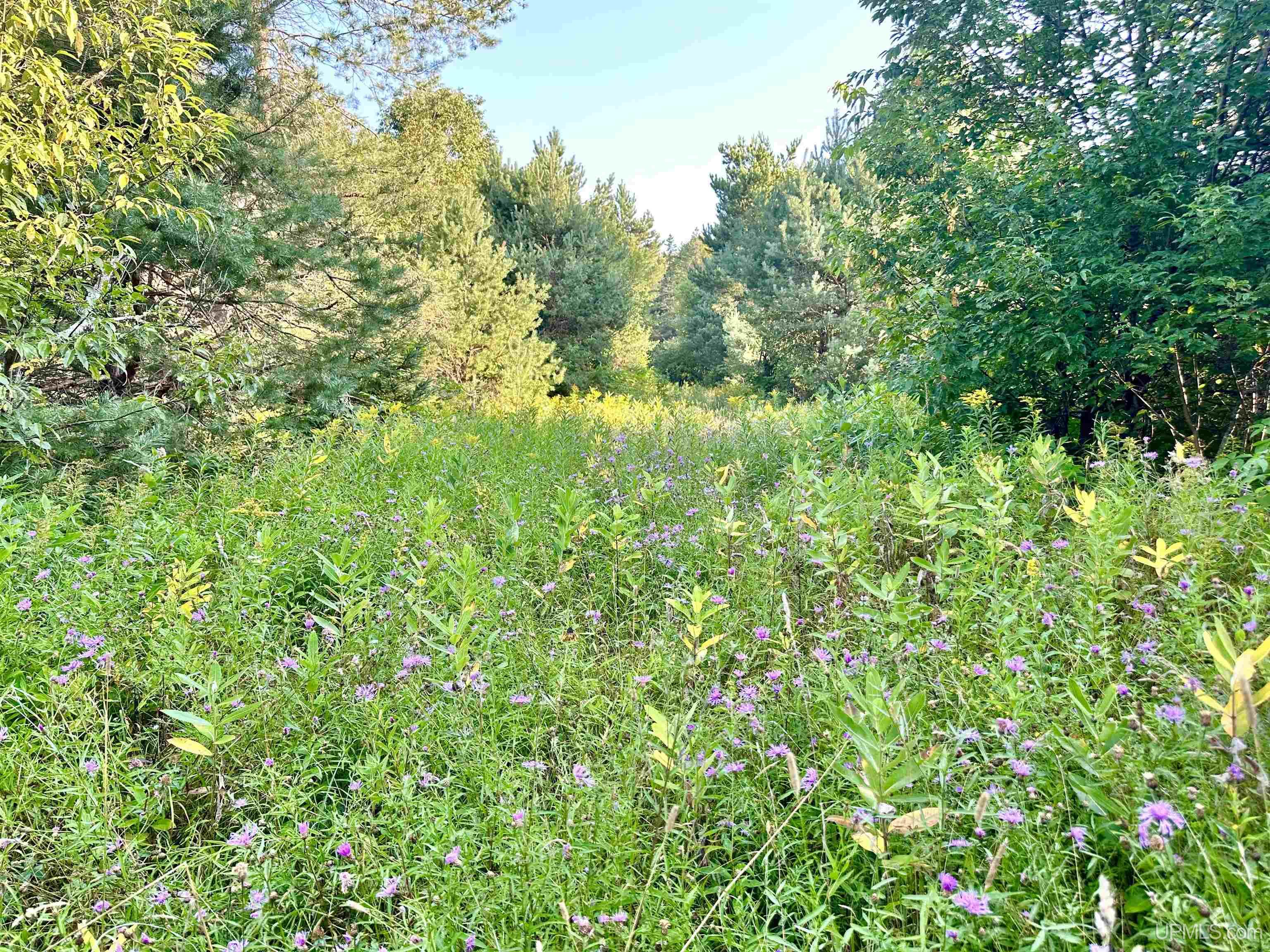 Tbd Crestview Road Ironwood, MI 49938 - Photo 26 of 49
