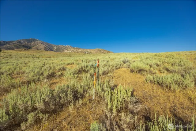 a view of lake and mountain