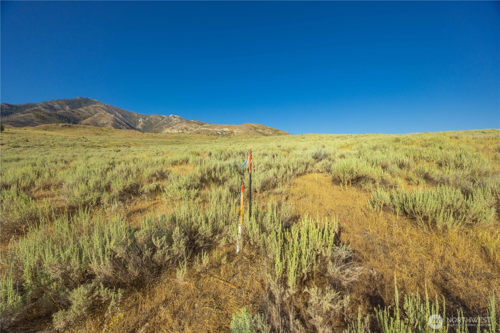 0 Goat Ridge, Unit 6 Pateros, WA 98846 - Photo 12 of 39 a view of lake and mountain