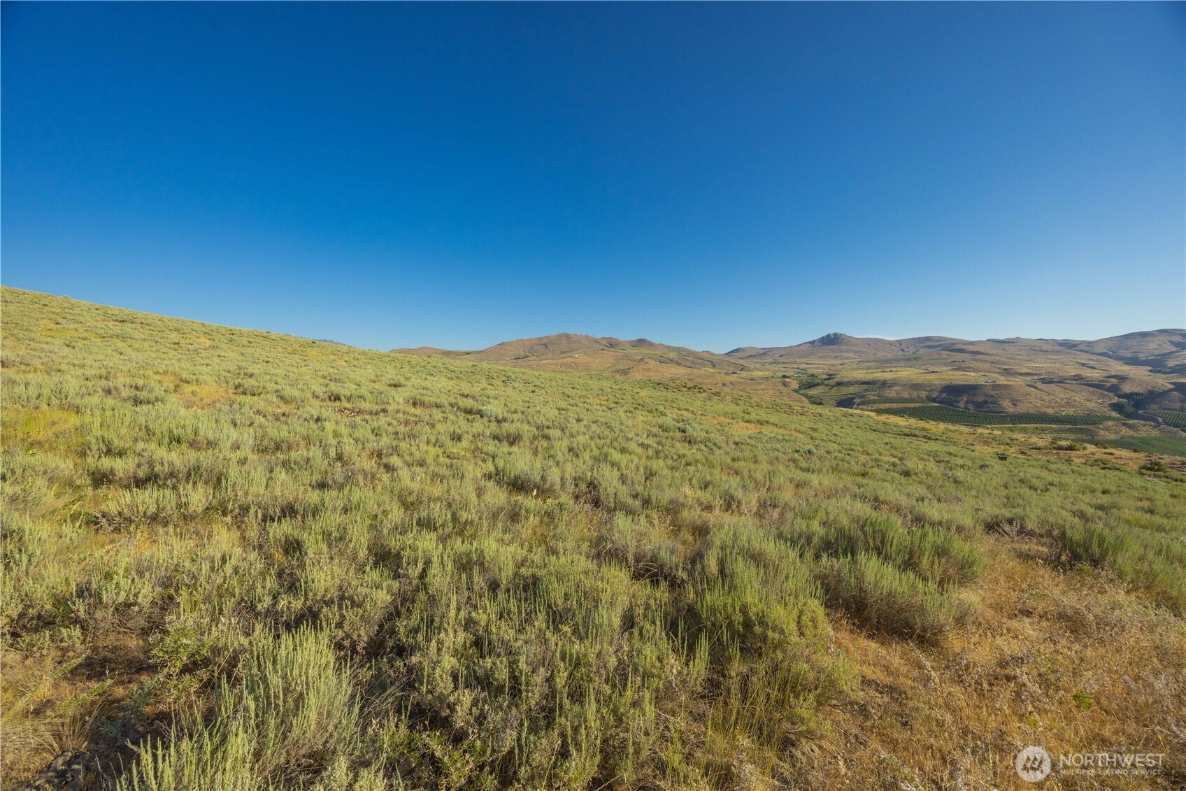 0 Goat Ridge, Unit 6 Pateros, WA 98846 - Photo 13 of 39 a view of a mountain range with lush green forest