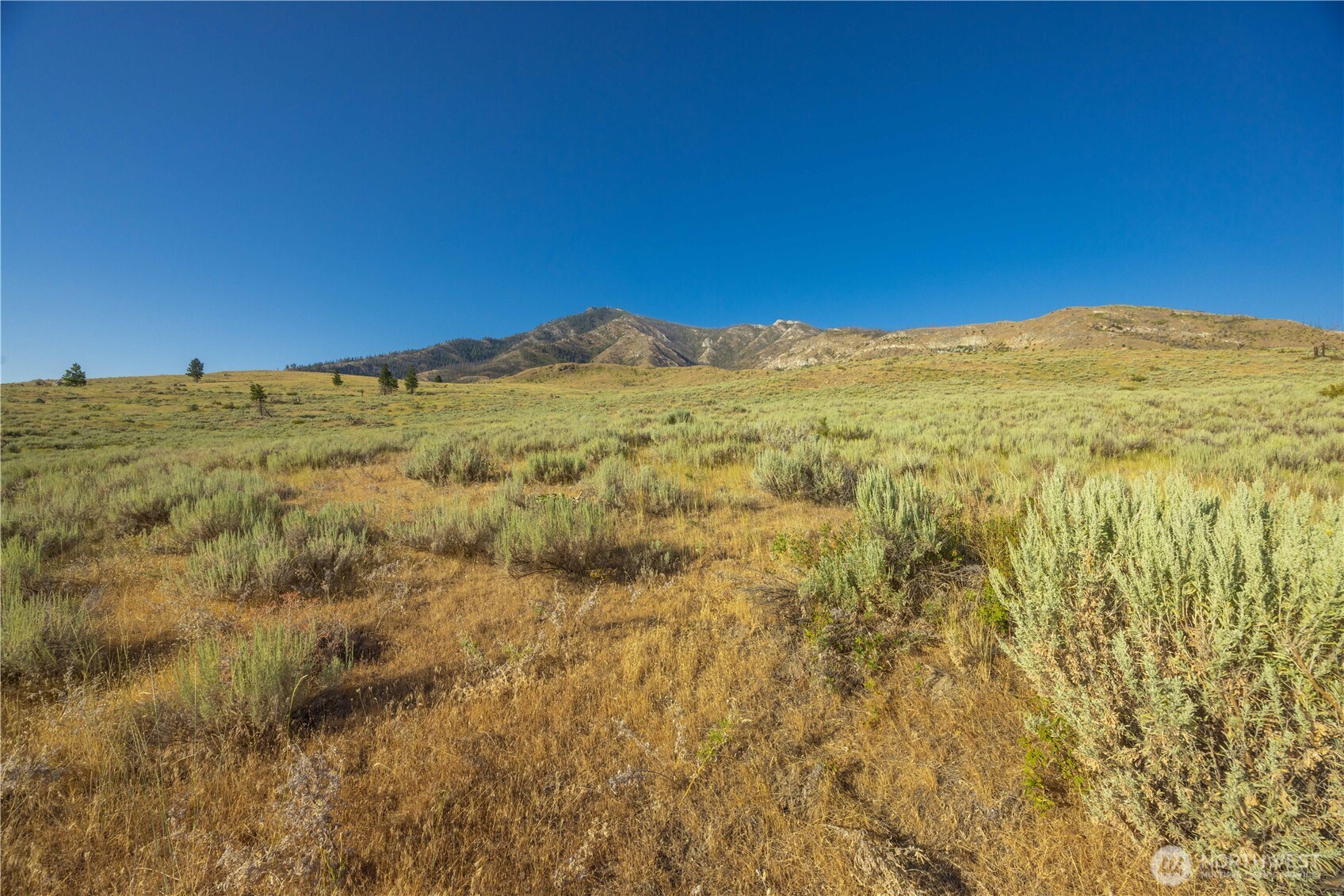 0 Goat Ridge, Unit 6 Pateros, WA 98846 - Photo 21 of 39 a view of mountain