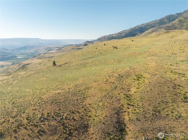 a view of a mountain range with lush green forest
