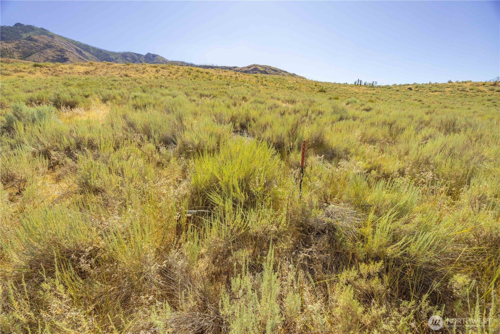 0 Goat Ridge, Unit 6 Pateros, WA 98846 - Photo 39 of 39 a view of a mountain range with lush green forest