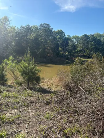 $45,000 | 26770 Lake Shore Drive, Hempstead, TX 77445