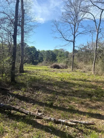 $45,000 | 26770 Lake Shore Drive, Hempstead, TX 77445