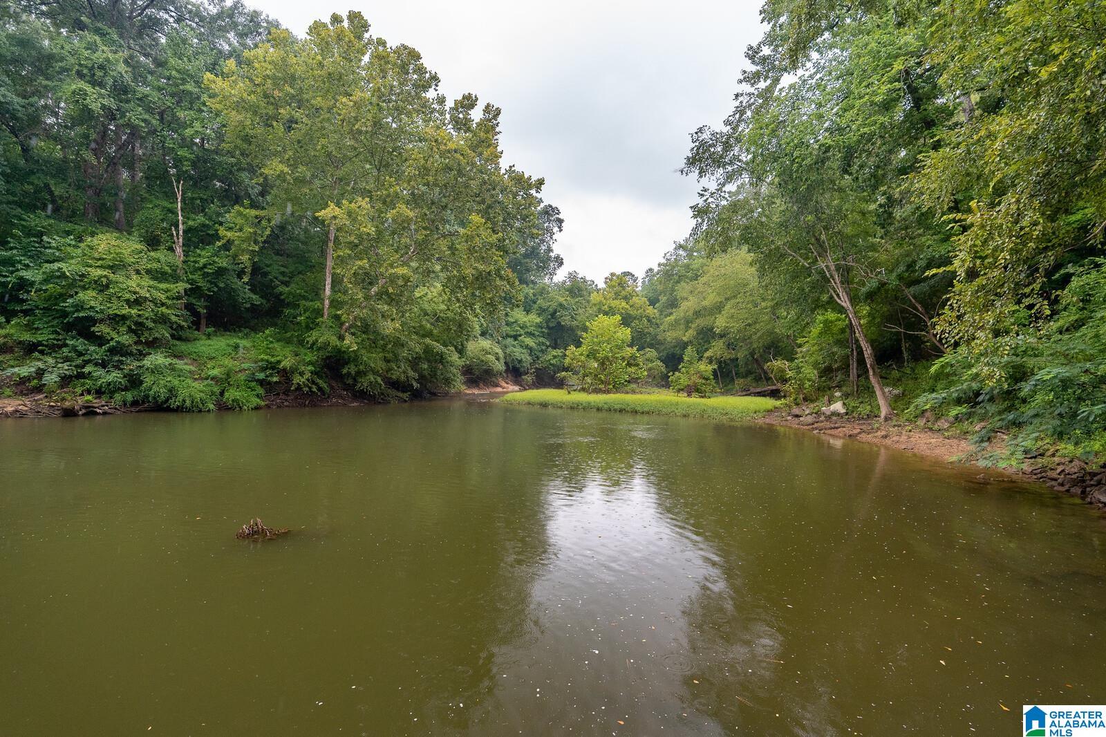 4761 Old Looney Mill Road Birmingham, AL 35243 - Photo 23 of 25