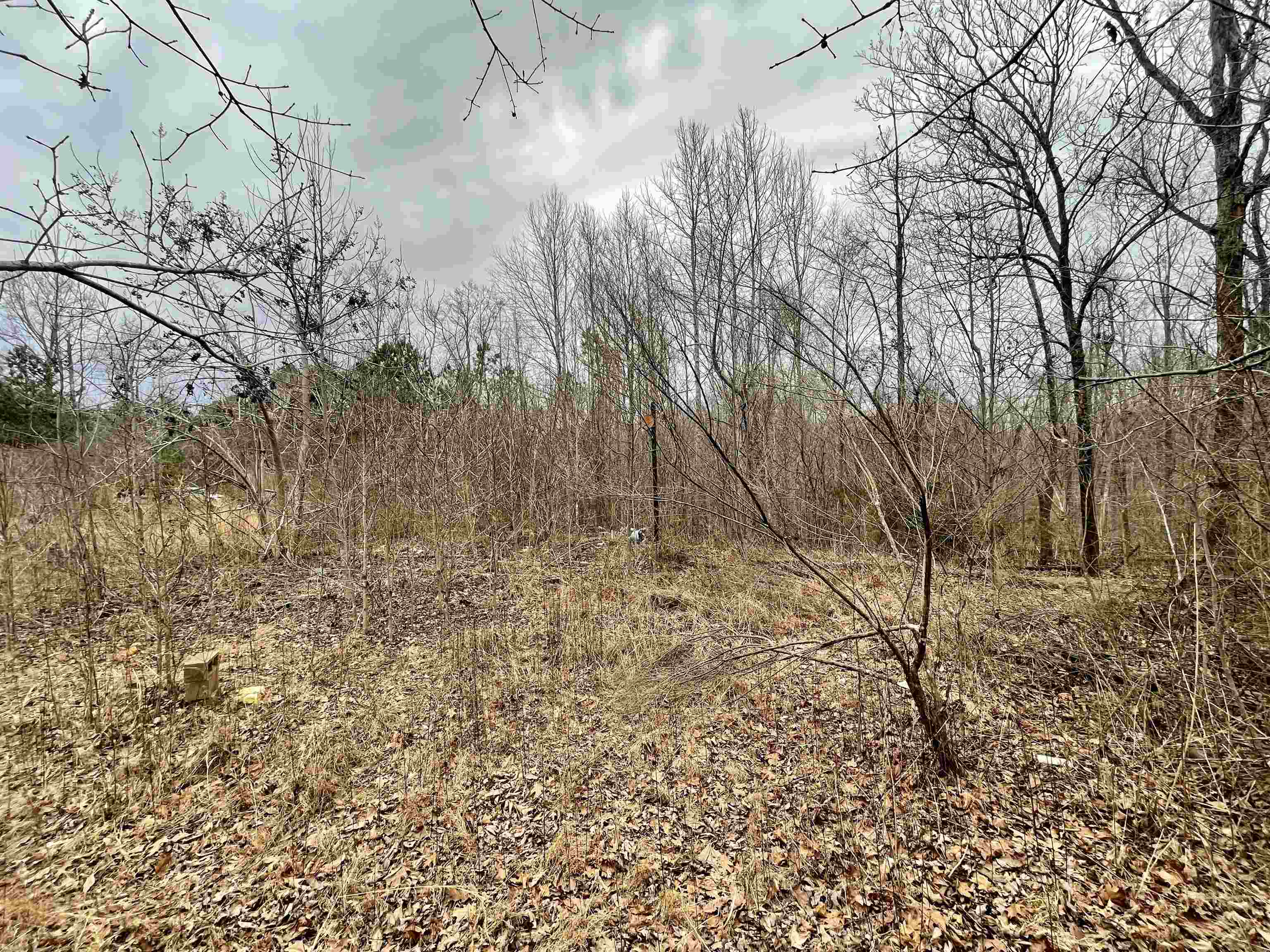 395 Walker Loop Adamsville, TN 38310 - Photo 1 of 5 Gallery Image 1