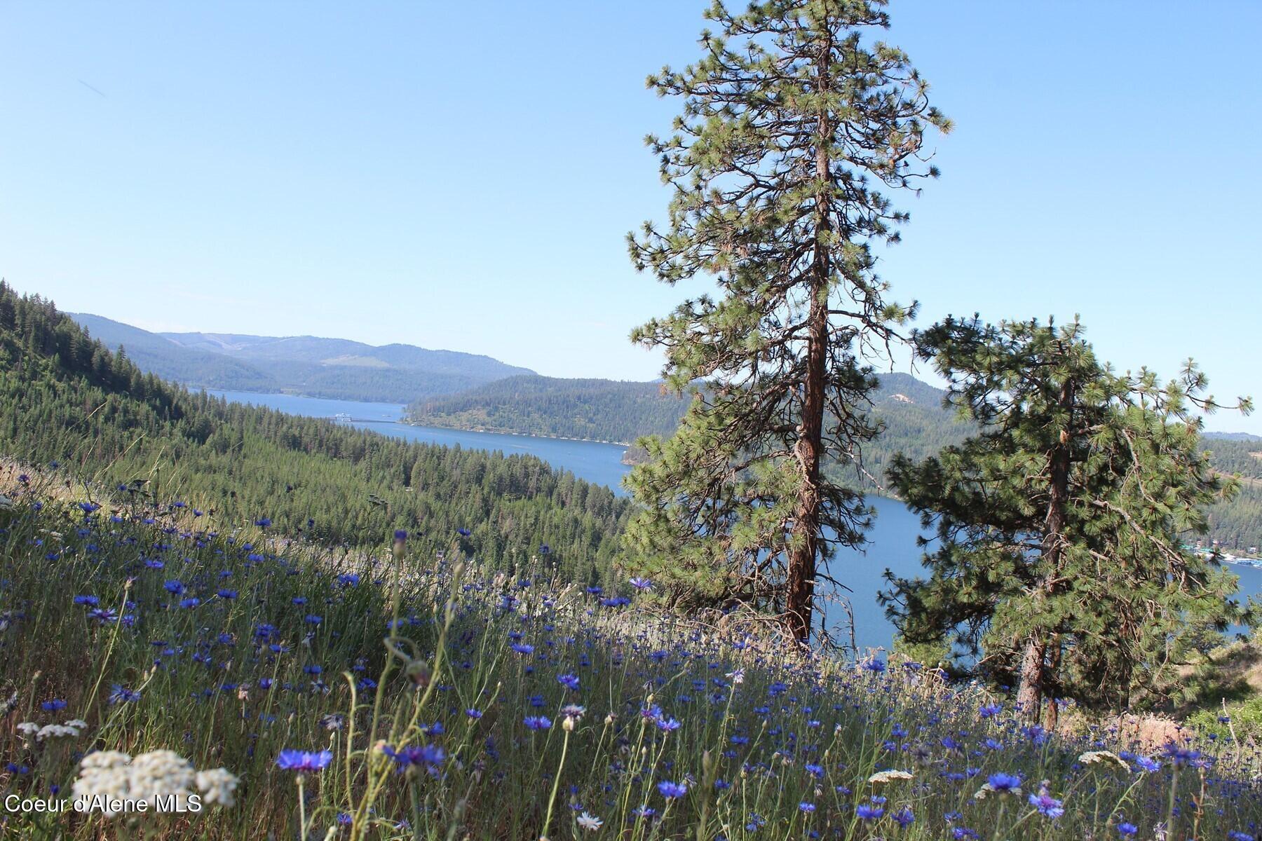 10 A Honor Road Harrison, ID 83833 - Photo 11 of 22 Eastern Interior View